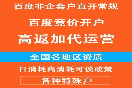 SEM代运营经典案例解析与启示